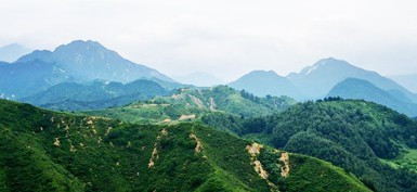 臨潼區(qū)驪山街辦胡王村公益性骨灰紀(jì)念堂地址、聯(lián)系電話(huà)-公墓大全