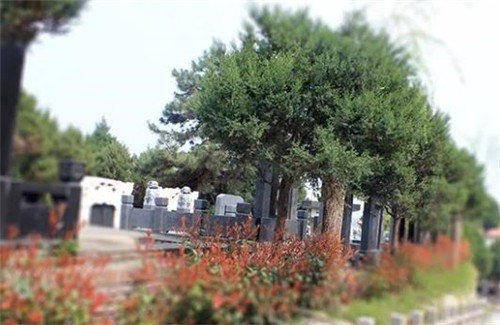 西安周邊公墓陵園分布大全,一站式購墓服務(wù)平臺