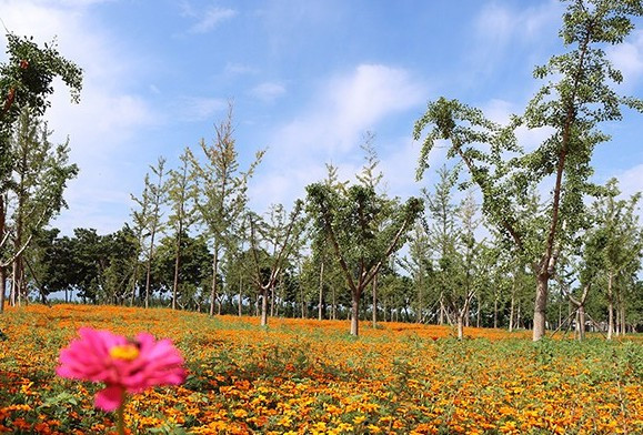 西安市灞橋區(qū)高橋墓園部分墓型贈精美隨葬品